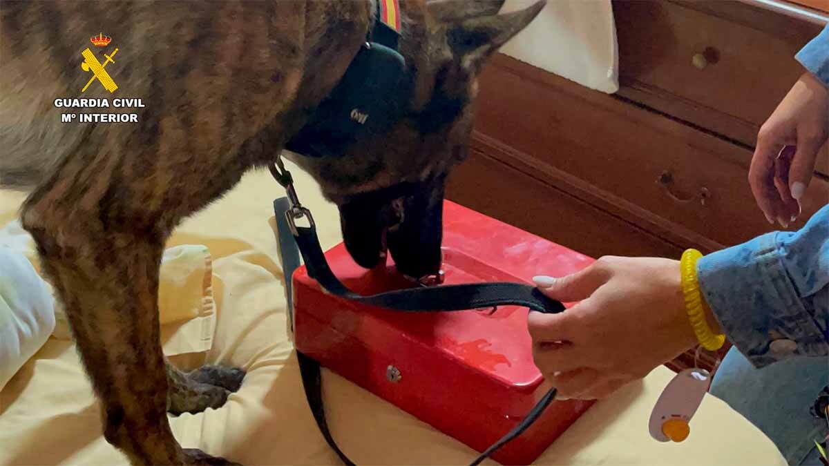 explotación laboral guardia civil caparroso (7)