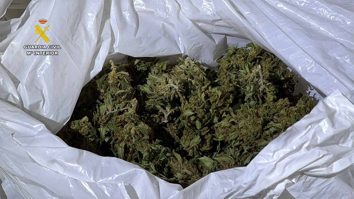 drogas calahorra (16)