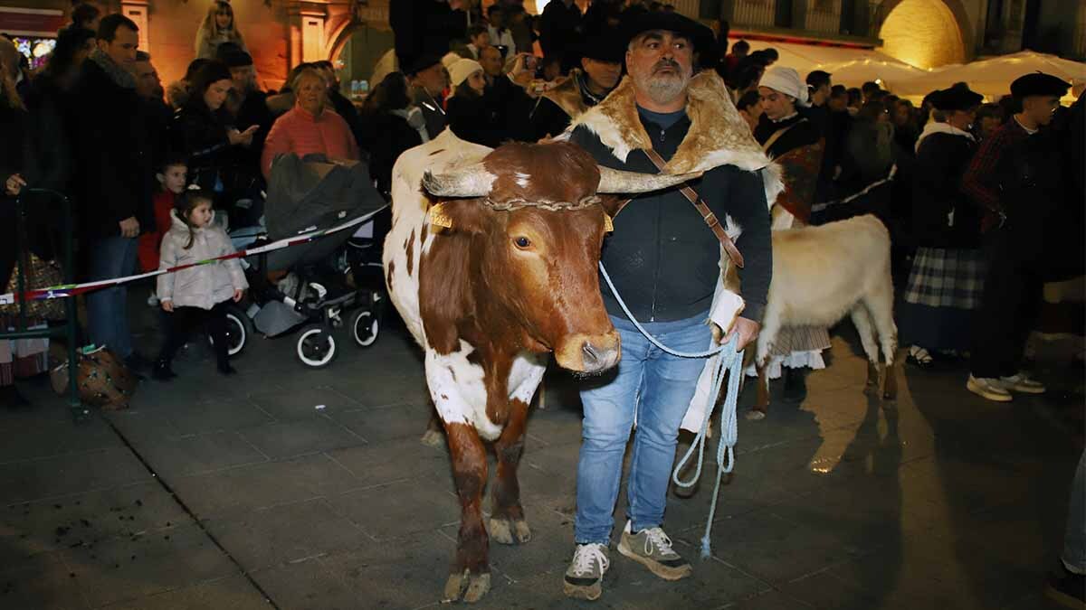 desfile olentzero tudela (4)