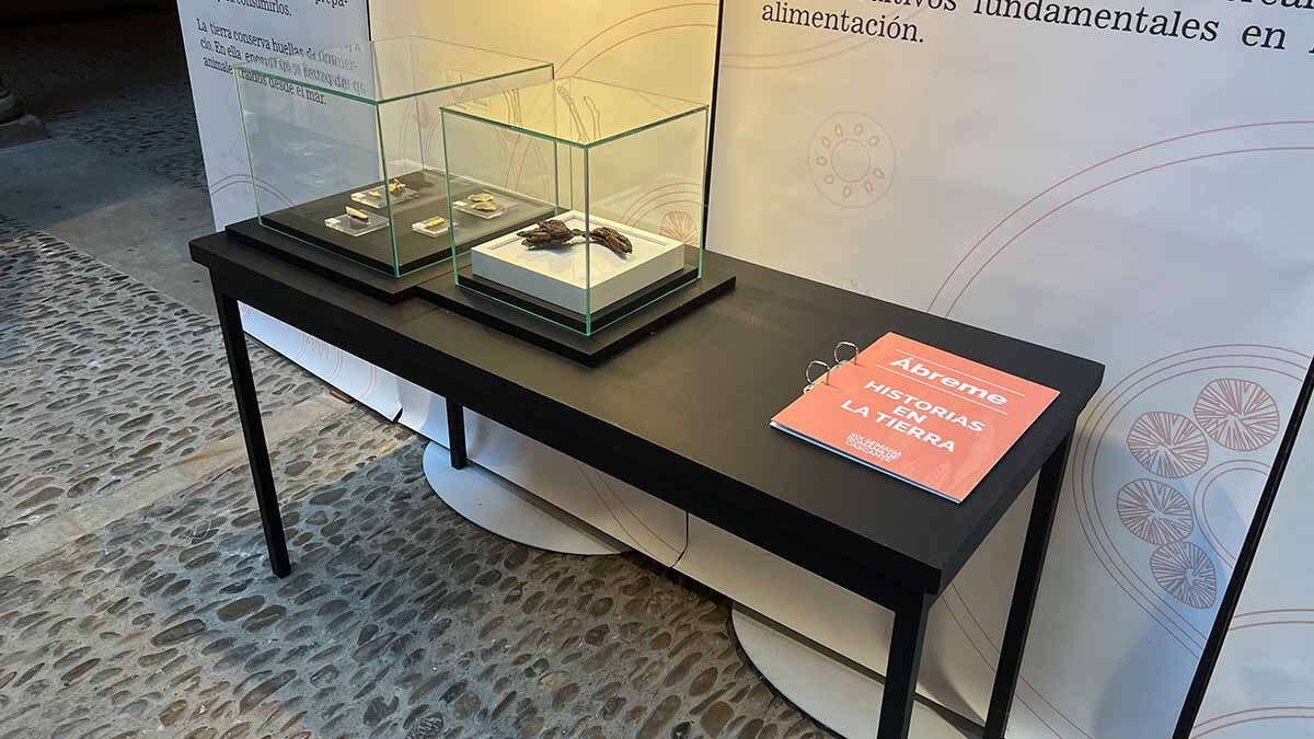 exposición uned tudela historias en la tierra (3)