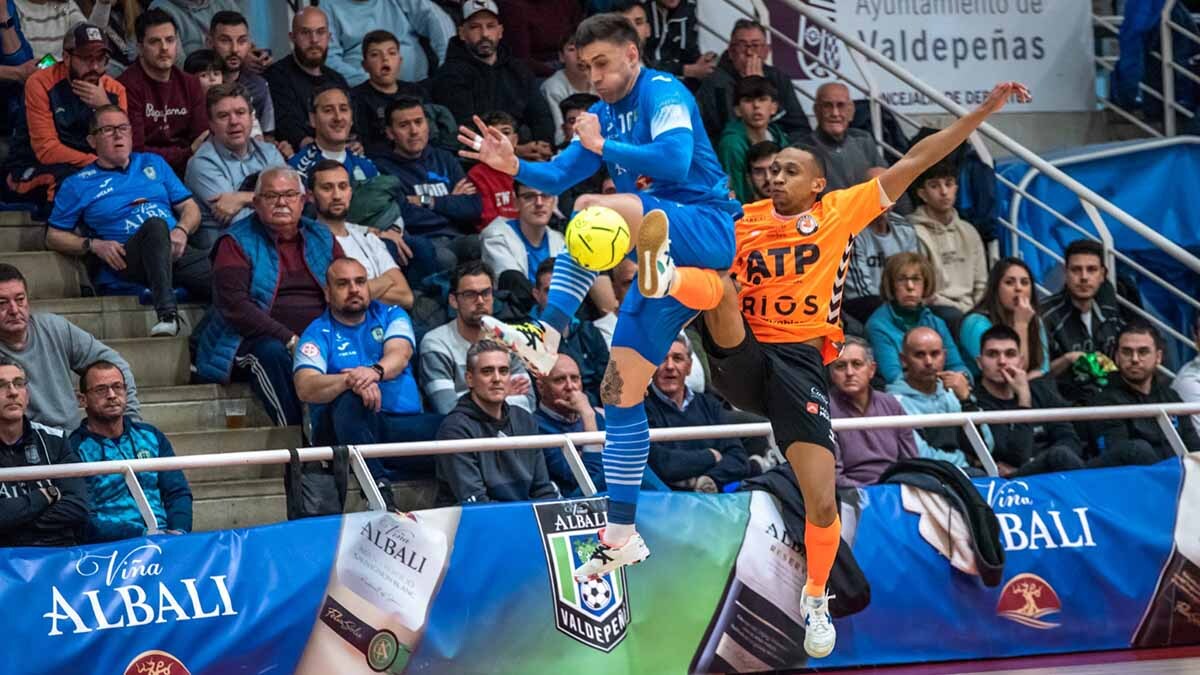 viña albali valdepeñas tudelano ribera navarra (2)