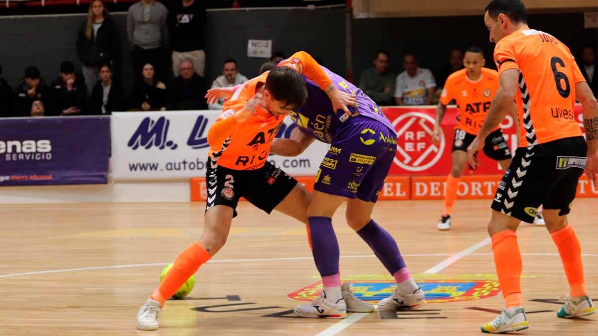 tudelano ribera navarra jaén paraíso interior (4)