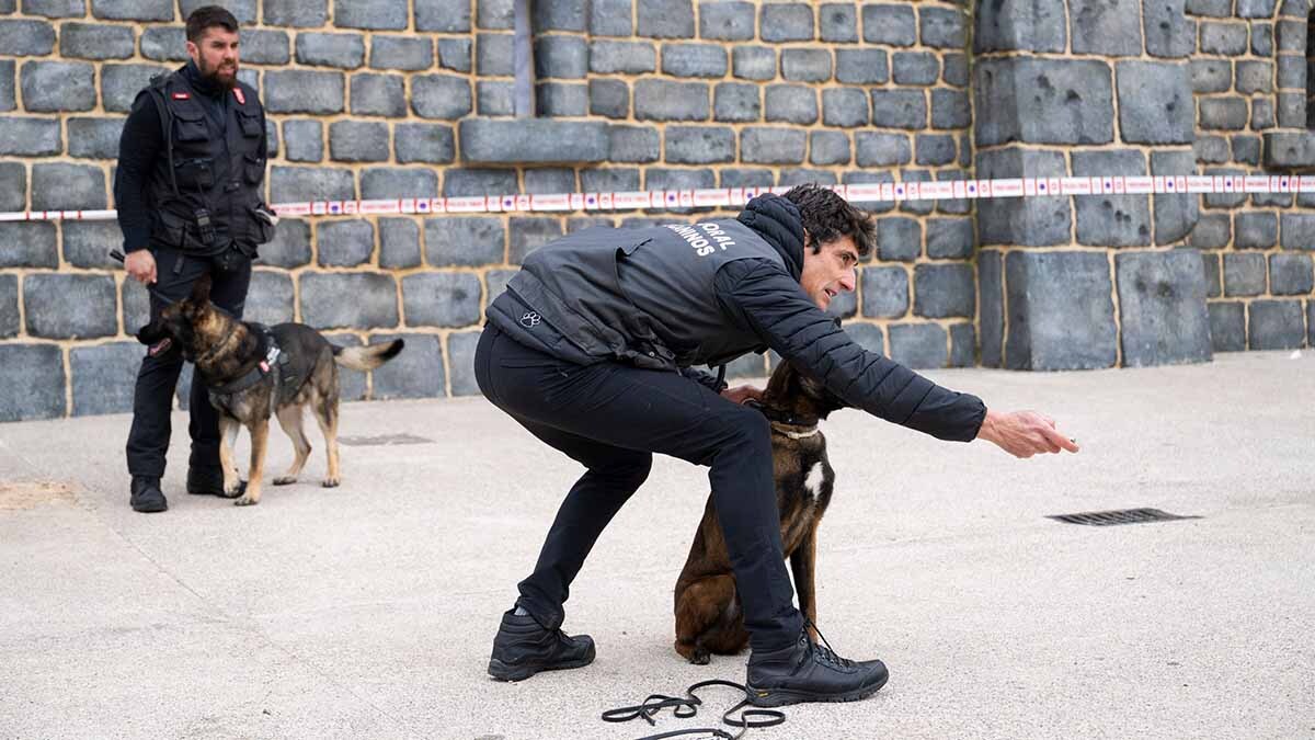 sendaviva simulacro (3)