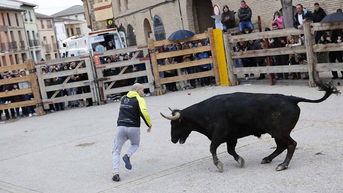 fiestas de la juventud de arguedas (2)