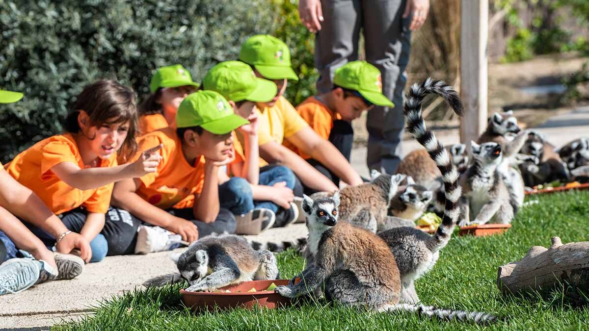 campamentos verano sendaviva (1)