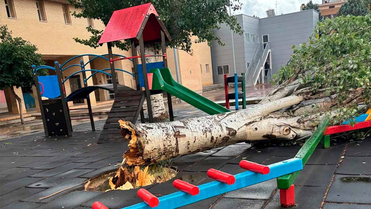 destrozos por la dana en la plaza de toros de tudela3