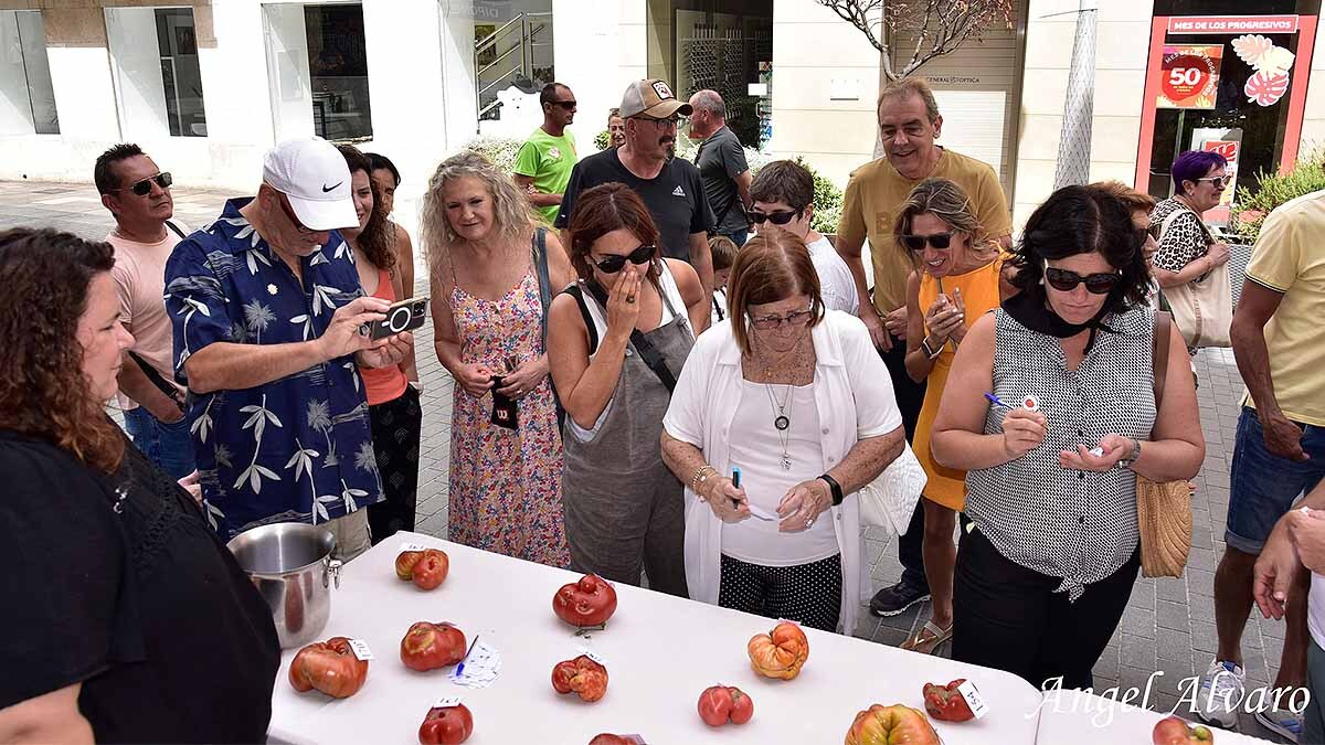 18º Concurso del Tomate Feo de Tudela4