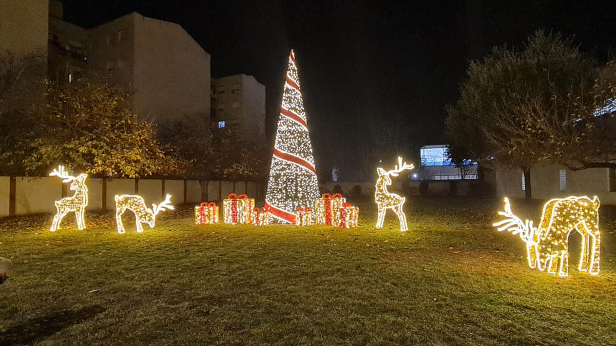 Visita del Cartero Real a la sede de Bardenas 2025 (2)